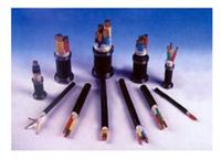 KVV22 �~о������ϩ�^��������ϩ�o(h��)���z���z�b������|/�r(ji��)��/���a(ch��n)�S��/KVV22