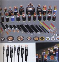 BXR �~о��Ƥ�^��ܛ늾�/�r��/���a(ch��n)�S��/BXR